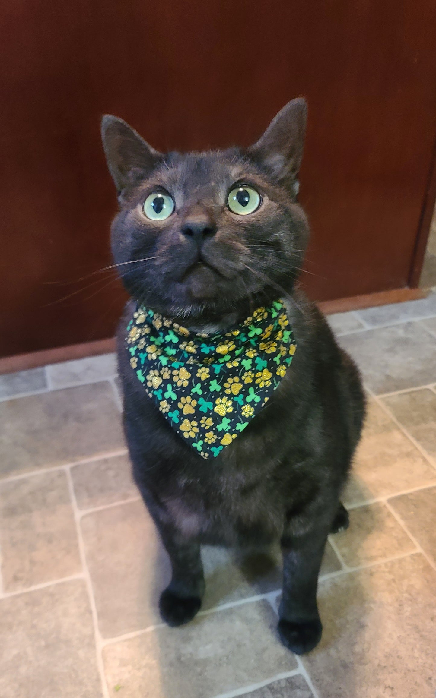 St. Patrick's Day Bandana
