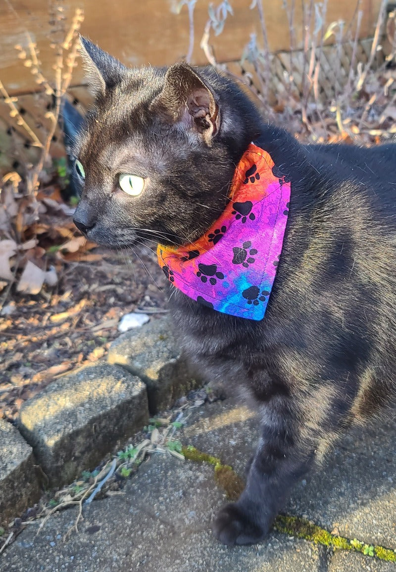 Rainbow Paws & Bones Reversible Pet Bandana
