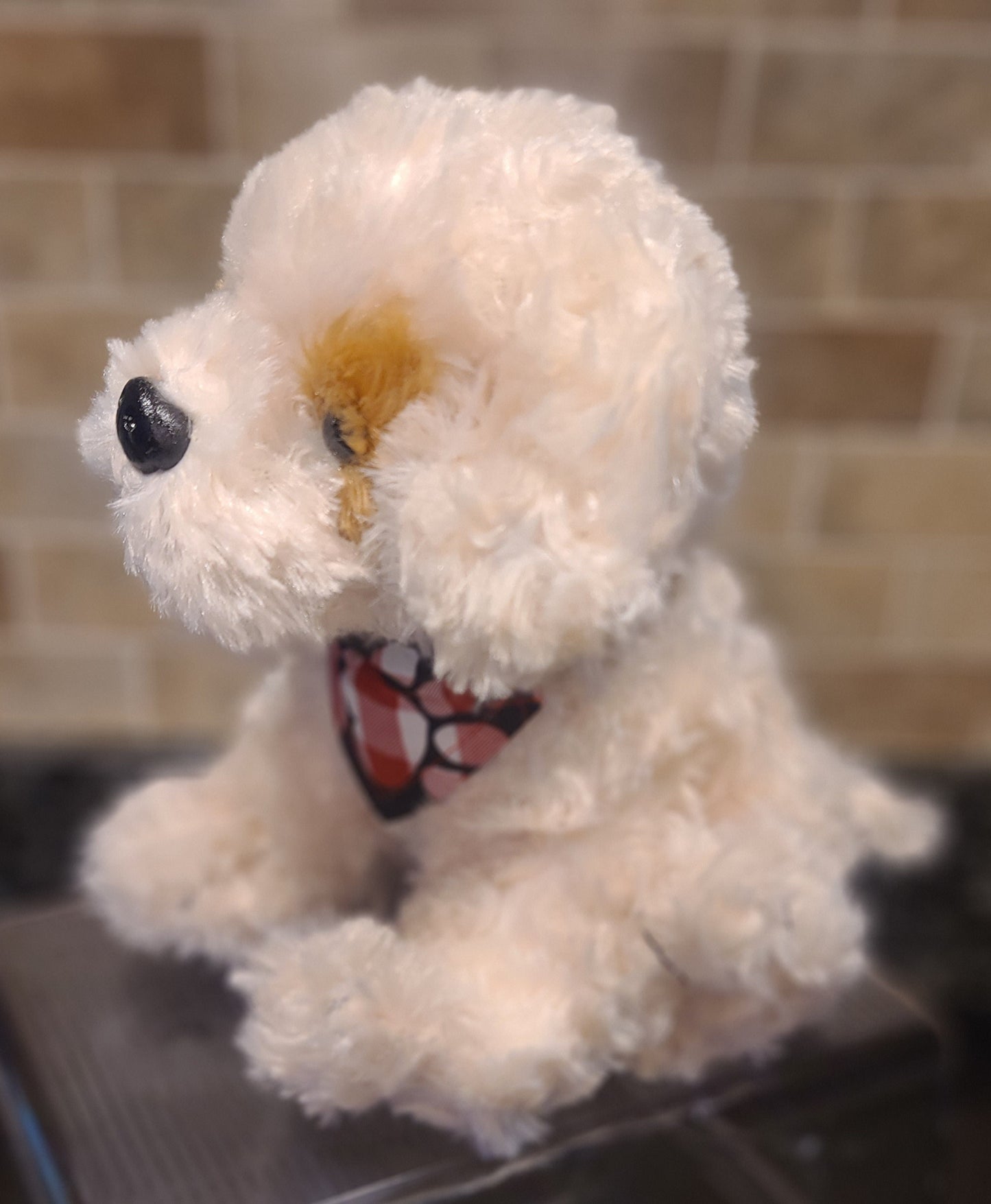 Dressed Up Doggy- Spot