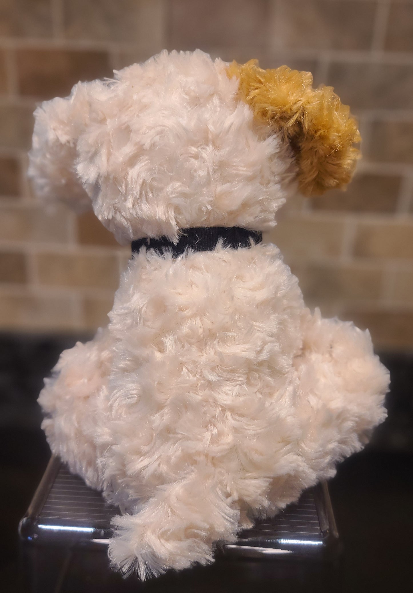 Dressed Up Doggy- Spot