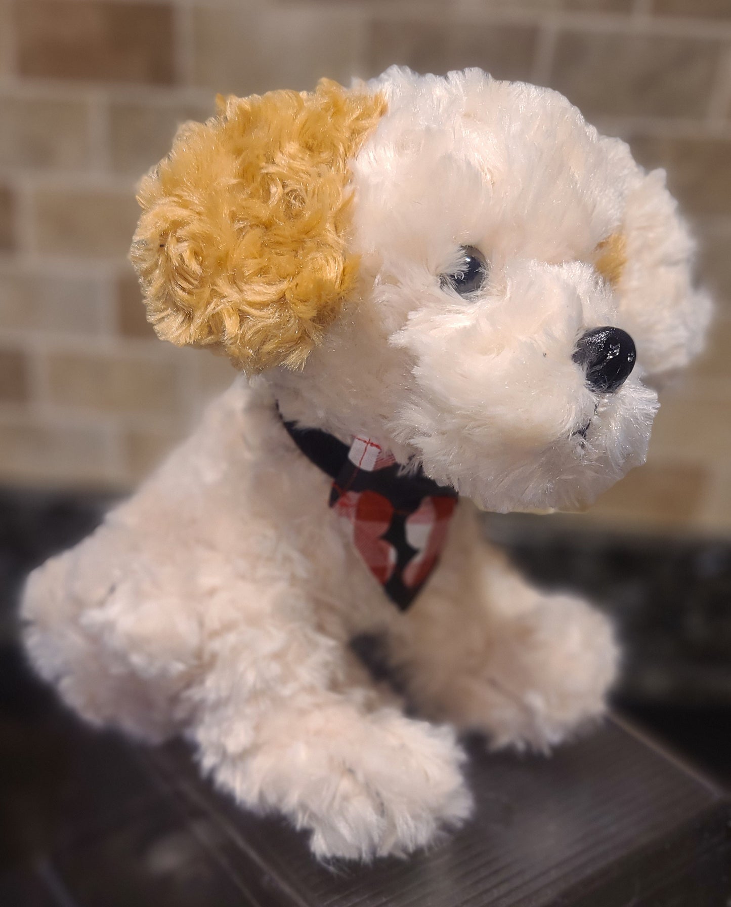 Dressed Up Doggy- Spot