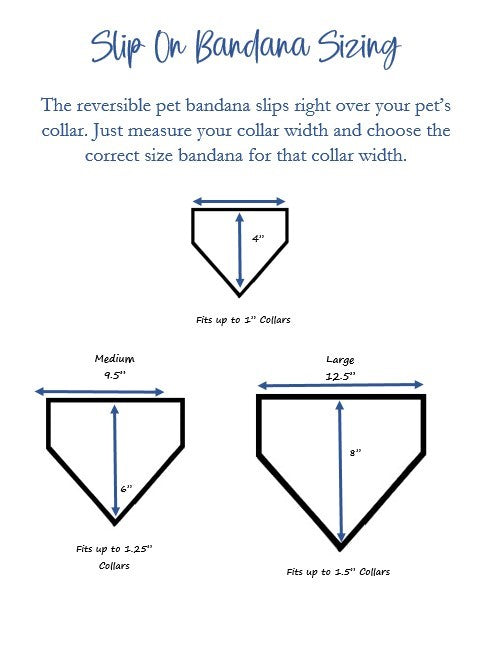 Rainbow Paws & Bones Reversible Pet Bandana