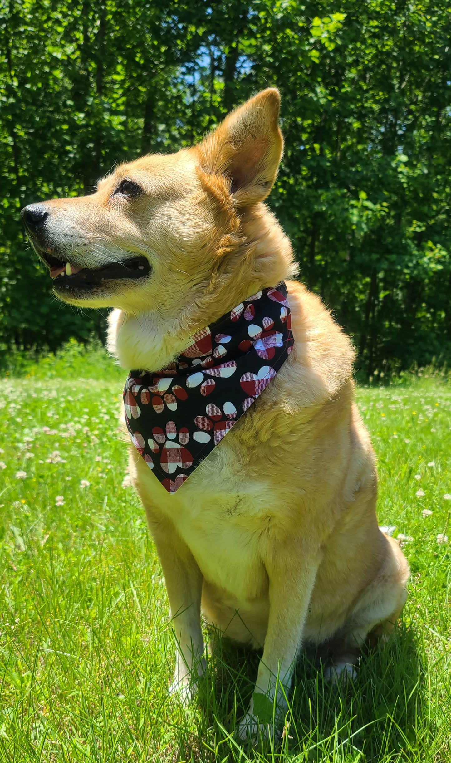 Americana & Gingham Reversible Pet Bandana