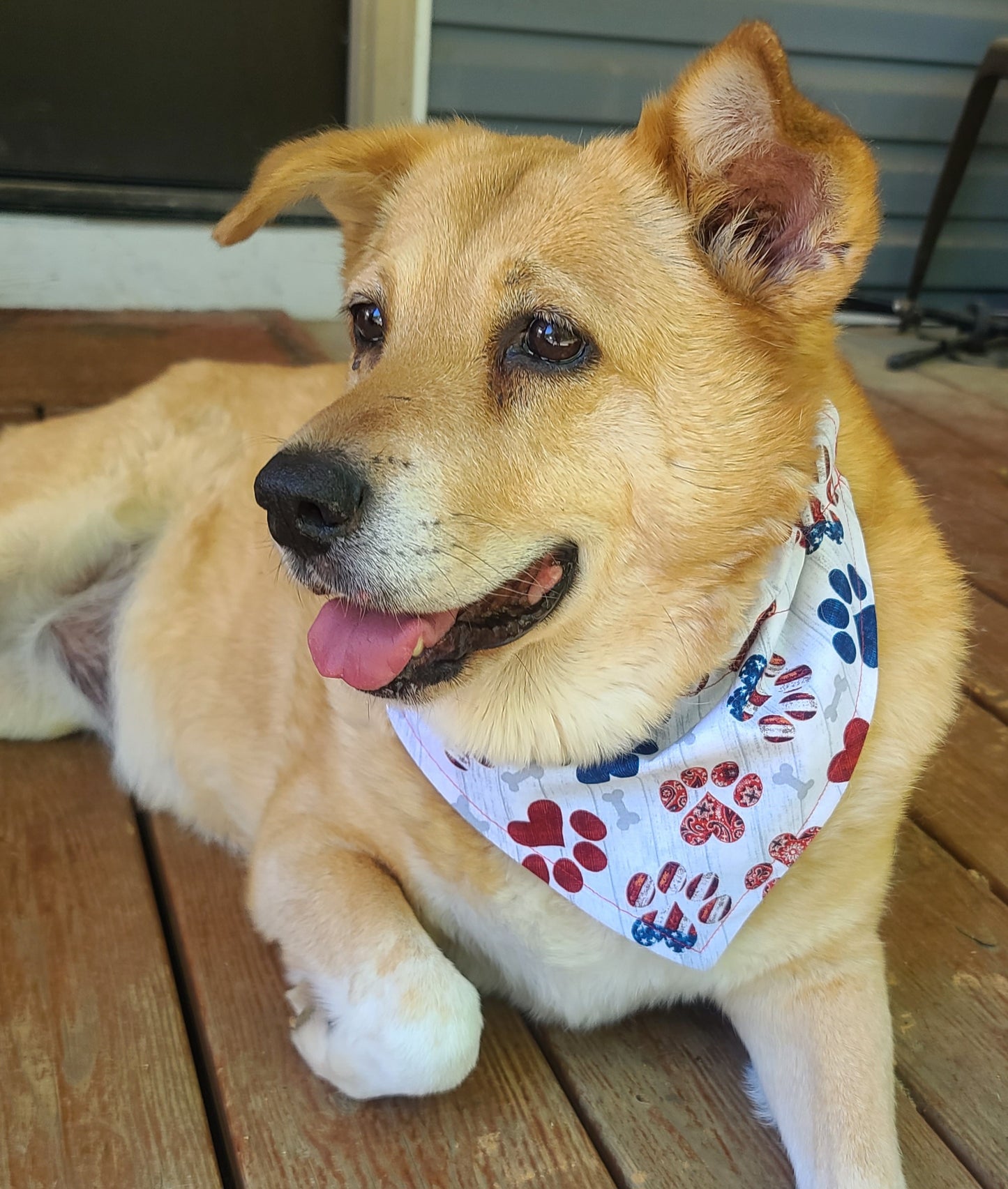 Americana & Gingham Reversible Pet Bandana