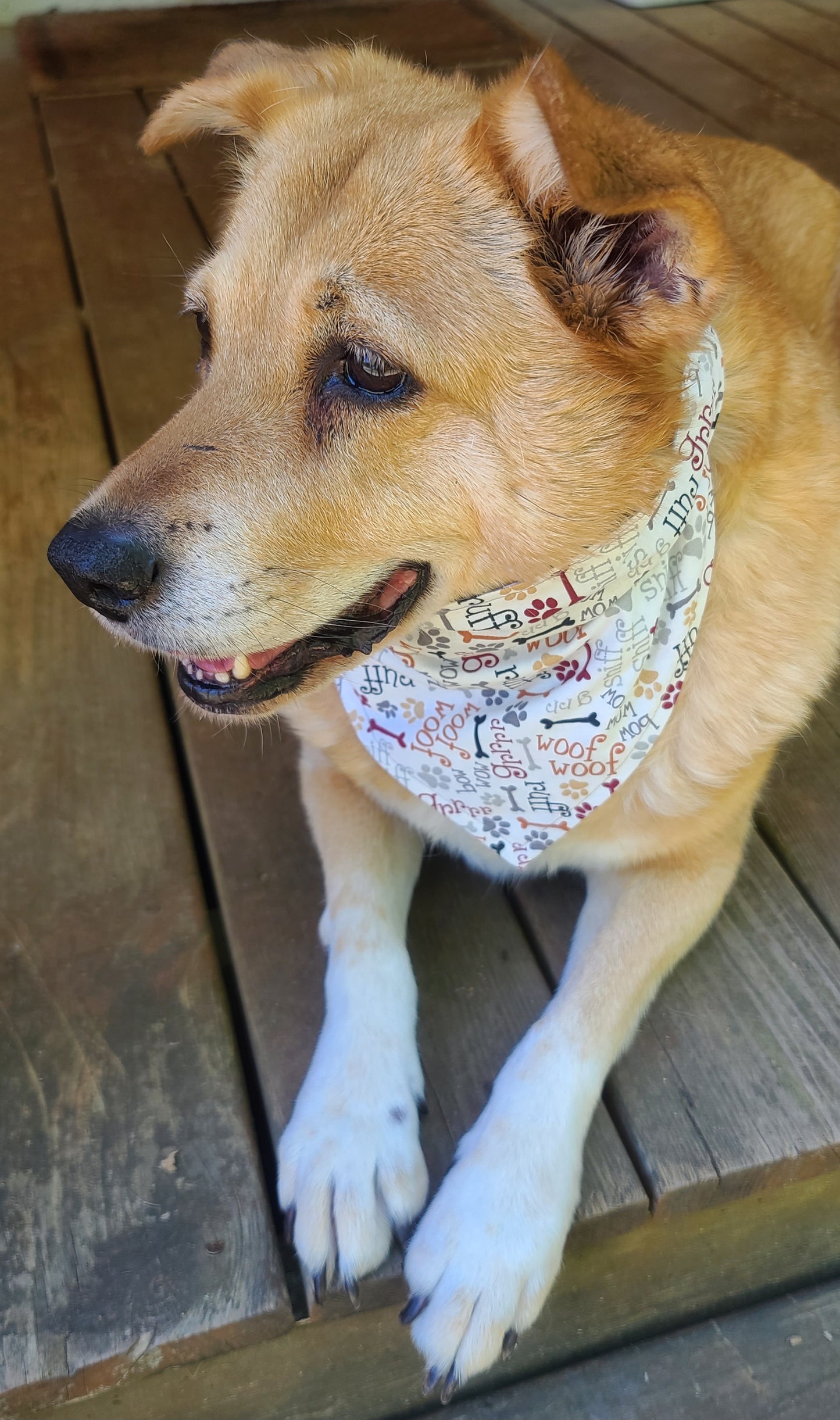 I Woof You & Dog Words Reversible Pet Bandana