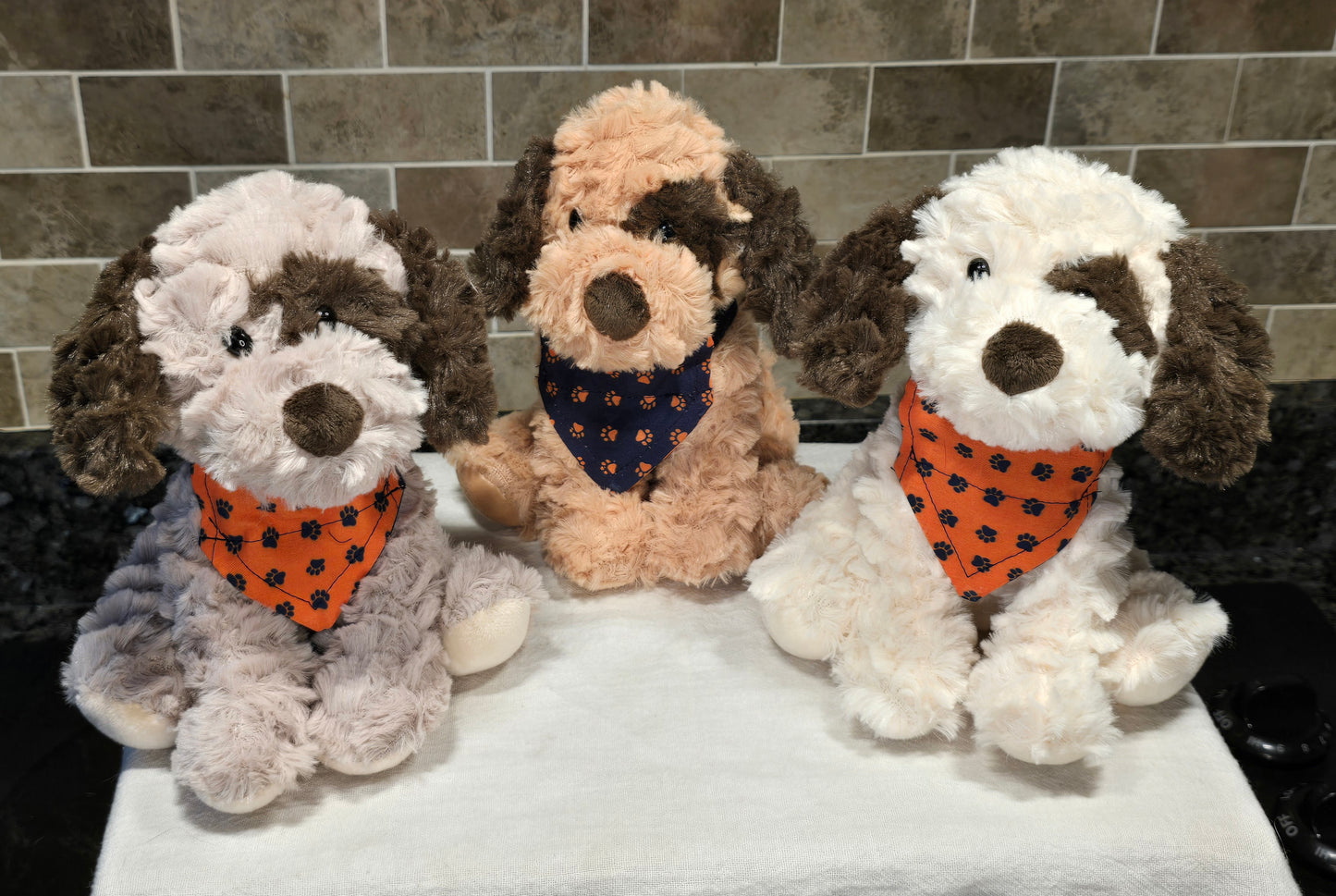 Dressed Up Doggy- Cream & Dark Brown
