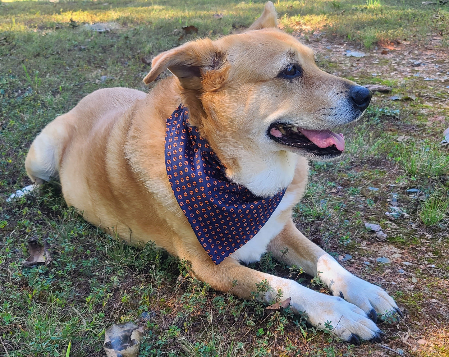 Orange & Navy Paw Print Reversible Pet Bandana